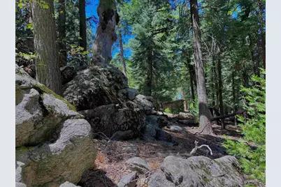 0 .29 / Crestline Road, Palomar Mountain, CA 92060 - Photo 15