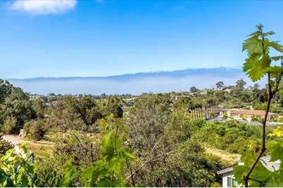 248 Coneflower Street, Encinitas, CA 92024 - Photo 25