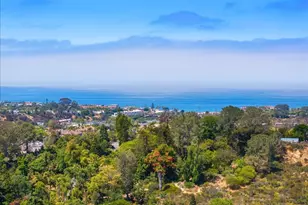 248 Coneflower St, Encinitas, CA 92024 - Photo 39