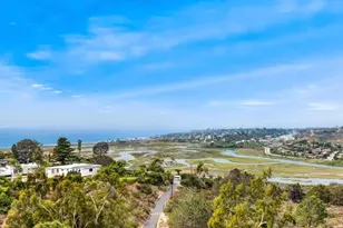 441 Holmwood Ln, Solana Beach, CA 92075 - Photo 43