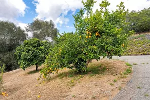 2557 Live Oak Park Rd, Fallbrook, CA 92028 - Photo 47