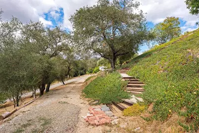 2557 Live Oak Park Rd, Fallbrook, CA 92028 - Photo 41
