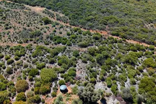 26779 Old Hwy 80, Descanso, CA 91916 - Photo 23
