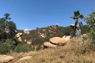 19519 Camino Del Aguila, Escondido, CA 92025 - Photo 27