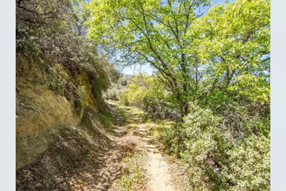 17 Bobcat Trail, Santa Ysabel, CA 92070 - Photo 5
