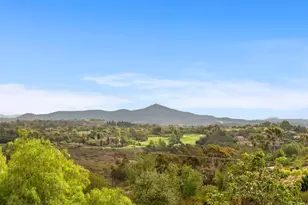 3401 Adams Run, Encinitas, CA 92024 - Photo 5
