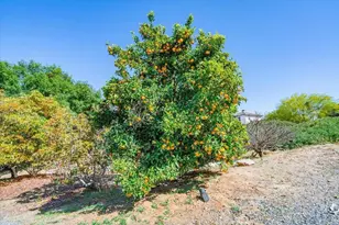27117 Santolina St, Valley Center, CA 92082 - Photo 63