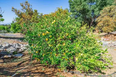 27117 Santolina Street, Valley Center, CA 92082 - Photo 63