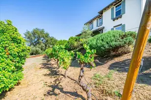 27117 Santolina St, Valley Center, CA 92082 - Photo 65