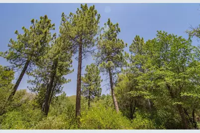 7 West Incense Cedar Road, Julian, CA 92036 - Photo 15