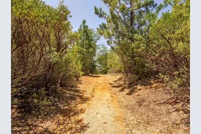 7 West Incense Cedar Road, Julian, CA 92036 - Photo 5