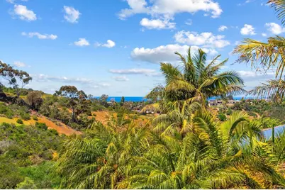 1393 Ranch Road, Encinitas, CA 92024 - Photo 45