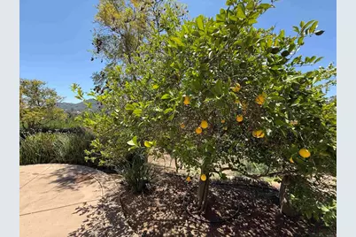 2527 Southern Oak Road, Ramona, CA 92065 - Photo 45