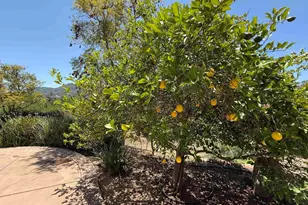 2527 Southern Oak Rd, Ramona, CA 92065 - Photo 45