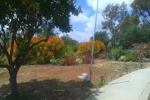 1534 Linda St, Fallbrook, CA 92028 - Photo 3