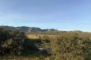 37697 Montezuma Valley Rd, Ranchita, CA 92066 - Photo 37