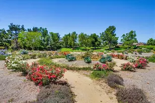 672 Inverlochy Dr, Fallbrook, CA 92028 - Photo 67
