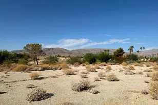 0 Roadrunner Dr, Borrego Springs, CA 92004 - Photo 1