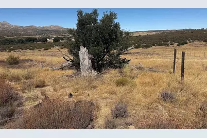 0 Montezuma Valley Road, Ranchita, CA 92066 - Photo 3