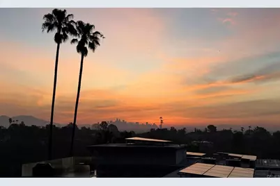 2798 McConnel, County - Los Angeles, CA 90064 - Photo 3