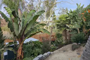 3124 Morningside Dr, Oceanside, CA 92056 - Photo 35