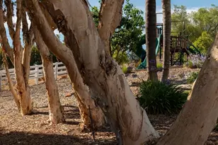 31899 Calle De Talar, Bonsall, CA 92003 - Photo 49