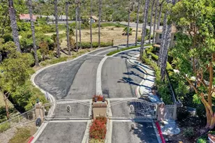7747 Caminito Monarca, Carlsbad, CA 92009 - Photo 61