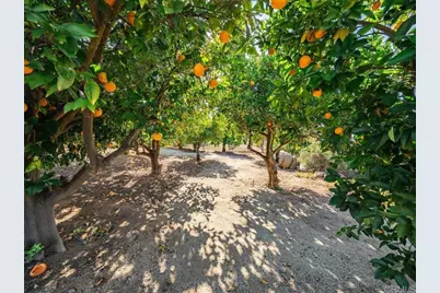 23786 Moonglow Court, Ramona, CA 92065 - Photo 29