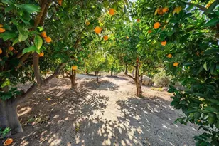 23786 Moonglow Ct, Ramona, CA 92065 - Photo 29