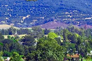 16119 El Tae, Pauma Valley, CA 92061 - Photo 39