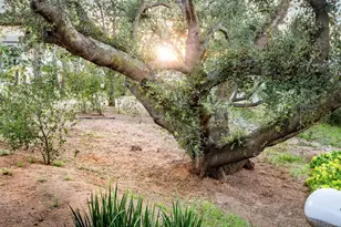 30349 Cool Valley Ln, Valley Center, CA 92082 - Photo 45