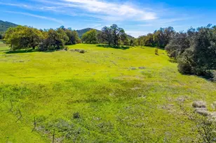 25258 Black Canyon Rd, Santa Ysabel, CA 92070 - Photo 9