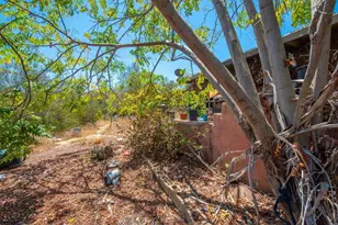 11248 Oshia Ln, Valley Center, CA 92082 - Photo 7
