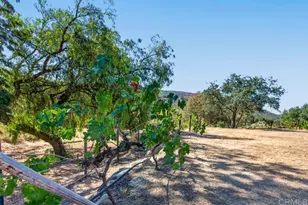 21041 Black Canyon Rd, Ramona, CA 92065 - Photo 51