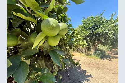 764 Old Highway 395, Fallbrook, CA 92028 - Photo 21