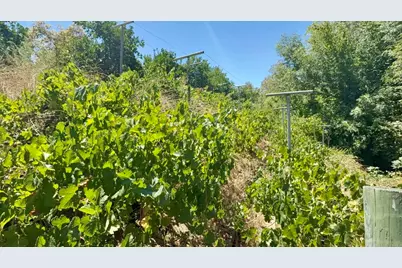 764 Old Highway 395, Fallbrook, CA 92028 - Photo 29