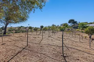 2777 Kingridge Dr, Fallbrook, CA 92028 - Photo 5