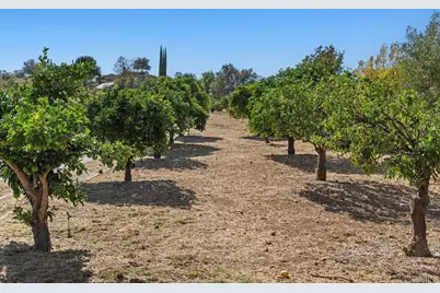 2777 Kingridge Drive, Fallbrook, CA 92028 - Photo 3