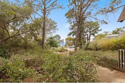 343 Serpentine Drive, Del Mar, CA 92014 - Photo 39