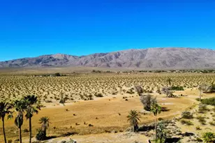 3187 Hook Ct, Borrego Springs, CA 92004 - Photo 37