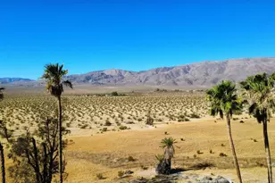 3187 Hook Ct, Borrego Springs, CA 92004 - Photo 31