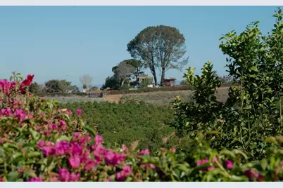 31817 Via Ararat Drive, Bonsall, CA 92003 - Photo 17