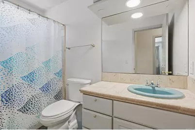 356 Delage Drive, Encinitas, CA 92024 - Photo 21