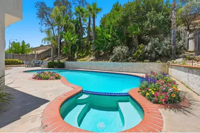 356 Delage Drive, Encinitas, CA 92024 - Photo 39