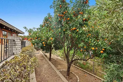 983 El Pajodo Place, Vista, CA 92084 - Photo 53