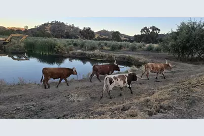 550 Limekiln Road, Hollister, CA 95023 - Photo 25