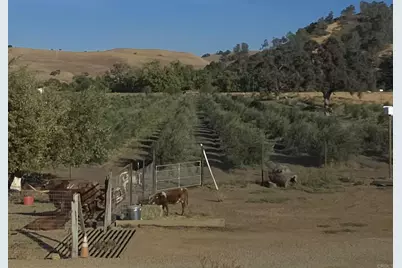 550 Limekiln Road, Hollister, CA 95023 - Photo 23