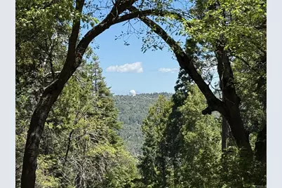 3413 Fern Meadow Road, Palomar Mountain, CA 92060 - Photo 13