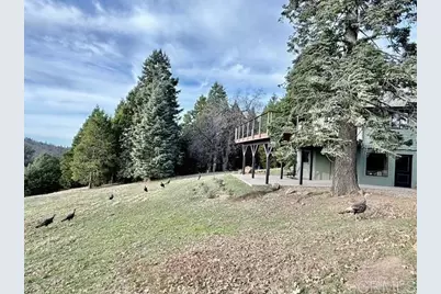 3413 Fern Meadow Road, Palomar Mountain, CA 92060 - Photo 9
