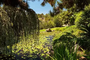 4241 Via El Dorado, Fallbrook, CA 92028 - Photo 45
